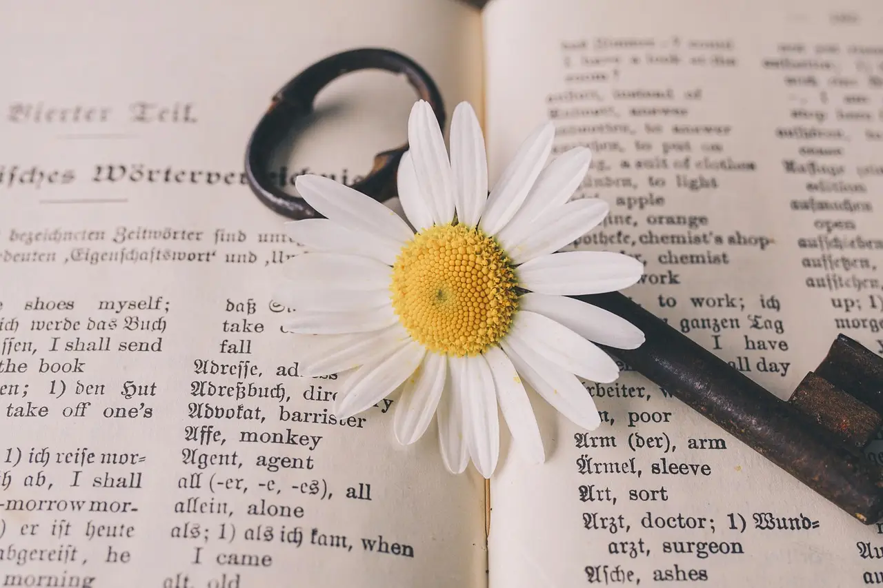 key, flower wallpaper, old, flower, nostalgic, vintage, marguerite, blossom, bloom, rust, metal, antique, dictionary, nature, german-english, flower background, translation, beautiful flowers, words, a book